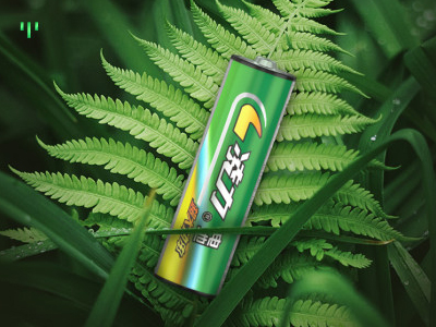 什么是環(huán)保型碳性電池