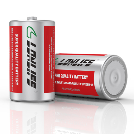 R20 8821,電池供應(yīng)商,凌力電池