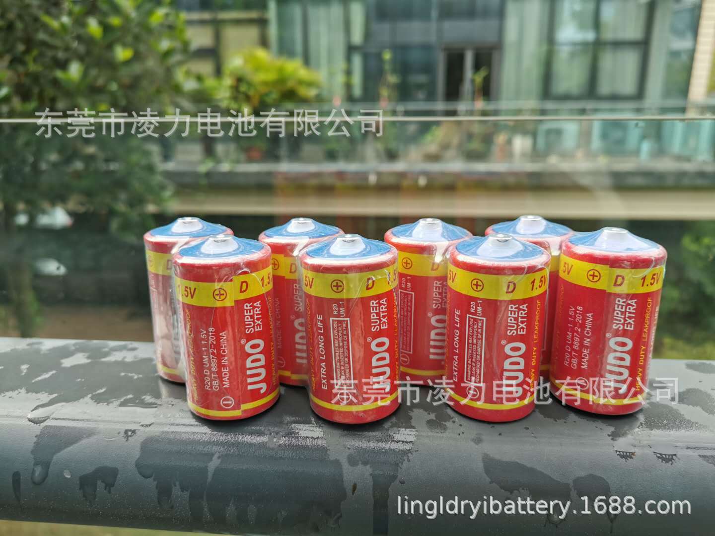 大號電池，手電筒大號電池